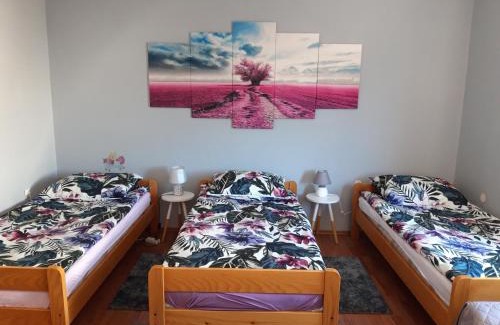 Ogulin Apartment | Studio apartman CENTAR
