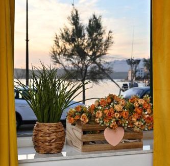 Novigrad Apartment | Studio Apartman Ivan