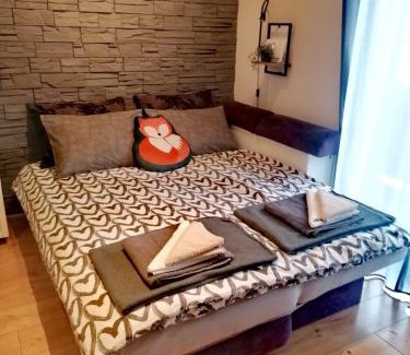 Fuzine Apartment | Studio Apartman Roxy