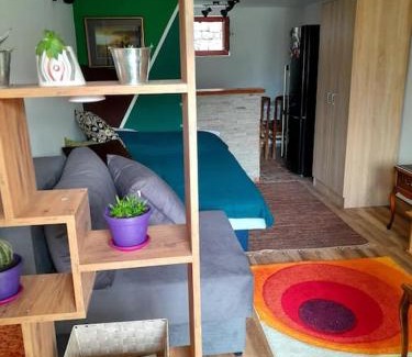 Ivanjica Apartment | Studio Apartman Skyline