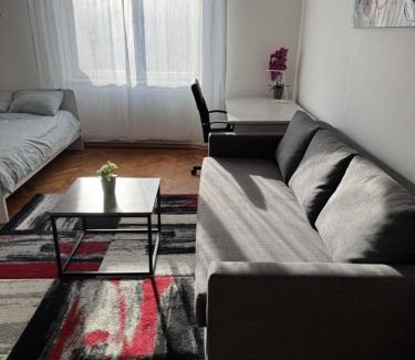 Zagreb Apartment | Studio Apartman Thalia