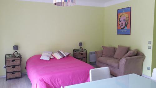 Amelie-les-Bains-Palalda Apartment | Studio couleur gai