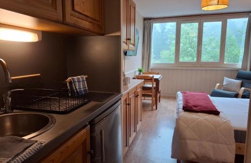 Laveissiere Apartment | Studio Confortable Lit Queen & Parking Le Lioran