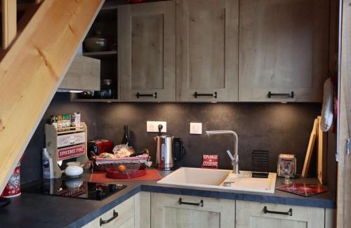 Beaufort Apartment | Studio cosy avec mezzanine, 27m², 2/3 pers, Équipé, Wifi, Balcon, Proche ski et commerces - FR-1-342-293