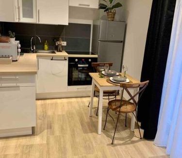 Kaysersberg-Vignoble Apartment | Studio cosy Kaysersberg centre