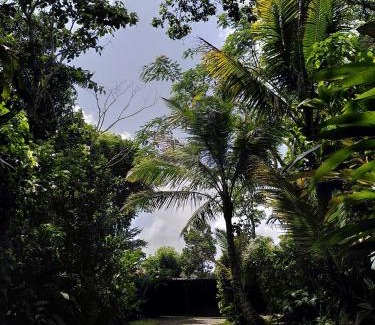 Les Anses-d'Arlets House | Studio dans la forêt tropicale