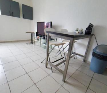 Huningue Apartment | Studio des 3 frontières