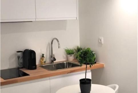 Puvis De Chavannes - Le Lycee Apartment | Studio Duquesne - Parc Tête d'Or-Metro Fochoch