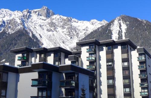 Chamonix City Centre Apartment | Studio L'Aiguille du Midi-7 by Interhome