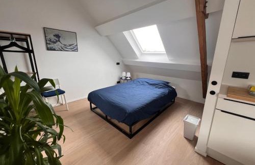 Kunstenkwartier Apartment | Studio Laurent - Gitoo