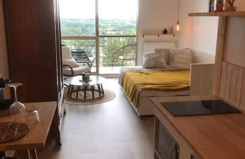 Montrichard Val de Cher Apartment | Studio / Loft vue sur la Vallée du Cher