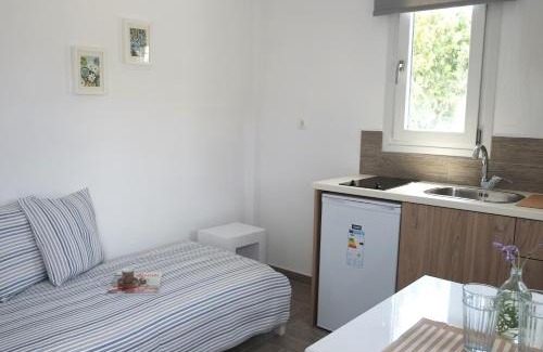 Ornos Apartment | Studio Ornos