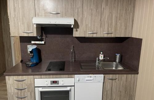 Laveissiere Apartment | Studio rénové 3*, balcon sud, pied pistes – Wifi, lave-linge, lits superposés, proche commerces - FR-1-787-53