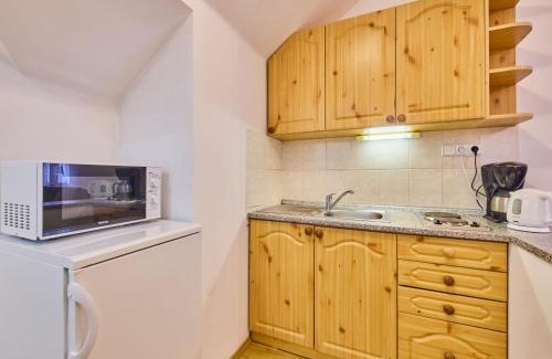 Janske Lazne Apartment | Studio Villa Belvedere-8 by Interhome