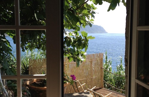 Povoacao House | Studio with ocean view - Garajau Nature Retreat