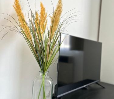 Tirgu Mures Apartment | Suita UMF 36