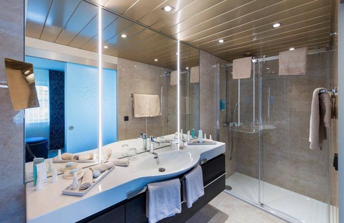 Muelheim Hotel | Suite, shower, toilet, river view