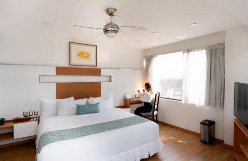 Coyoacan Hotel | Suites Coben Apartamentos Amueblados
