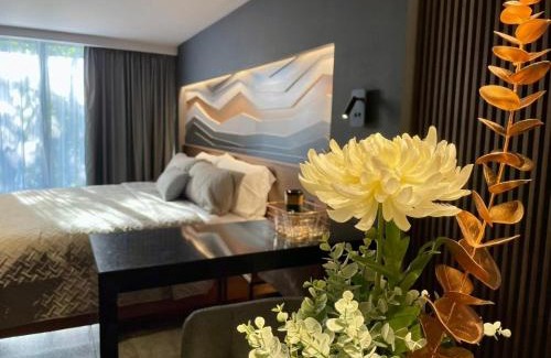 Colonia Cuauhtemoc Apartment | Suites MINE