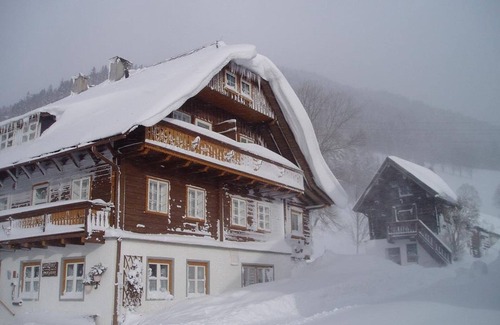 Schildlehen Apartment | Sun/apartment, shower, WC, 1 bedroom - Zeiserhof