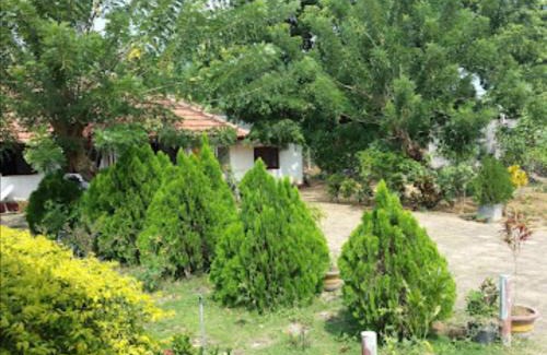 Maritimepattu House | Sun & Sand Guest House