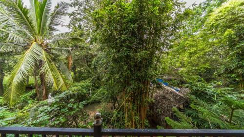 Sigiriya Hotel | Sunshine Resort LTD
