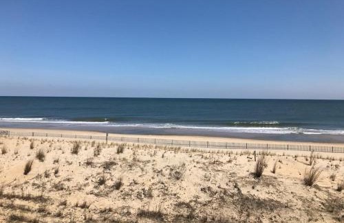 Dewey Beach House | Sunspot 208