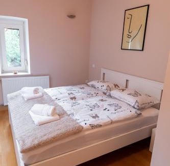Ljubljana Apartment | Suzana Iron's apartment