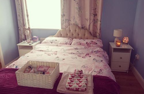 Lisdoonvarna Apartment | Swan Studio Haven