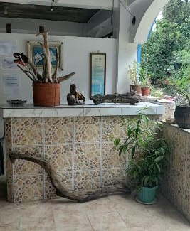 Lidlidda House | Swayna Homestay - By Eastdee
