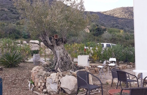 Coggia Apartment | Sympa sant appianu Studio