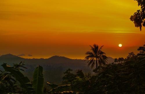 Koh Samui Hotel | SZ Samui Glamping