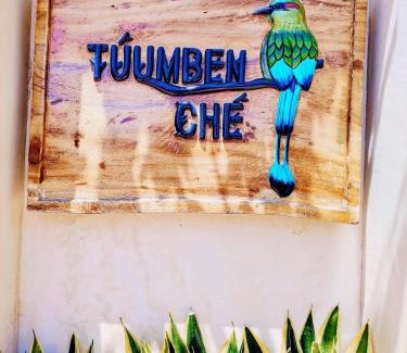 Chichen Itza - Valladolid Apartment | Túumben Ché Departamento 3
