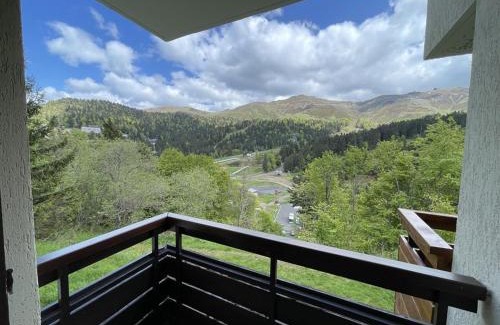 Laveissiere Apartment | T2 cabine avec balcon, près des pistes - FR-1-787-21