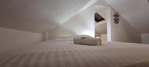 Charleville-Mezieres Apartment | T3 centre rénové 50 m2 confort !