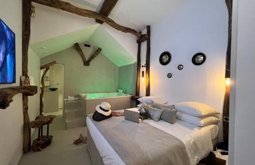 Aubagne Hotel | Tamarin & Capucin Suite Balnéo