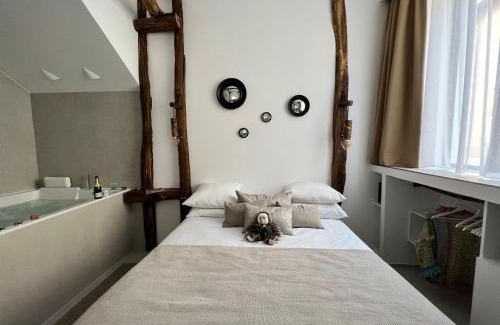 Aubagne Hotel | Tamarin & Capucin Suite Balnéo