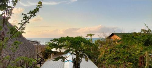 Piojo Bed & Breakfast | Tambo Marina Eco Hostal