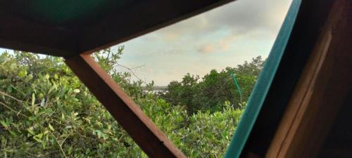 Piojo Bed & Breakfast | Tambo Marina Eco Hostal