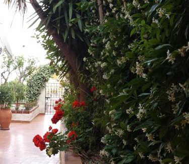 Taormina Apartment | Taonasi Taormina Apartments