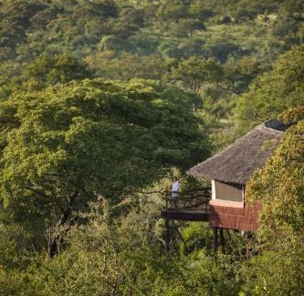 Monduli Other | Tarangire Treetops