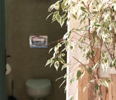Imsouane Apartment | Tasblast
