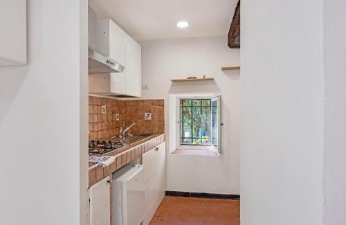 Semorile Apartment | Tavernetta in campagna