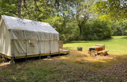 Holly Springs Other | Tentrr State Park Site - Mississippi Wall Doxey State Park - Fresh Field D - Single Camp