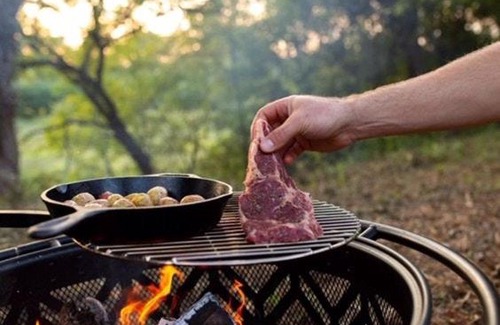 Holly Springs Other | Tentrr State Park Site - Mississippi Wall Doxey State Park - Fresh Field H - Single Camp