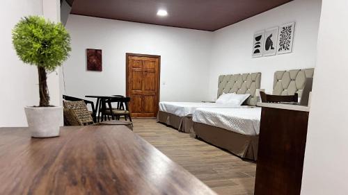 Ahuachapan Apartment | Termales la Montaña “Suite Aire de Montaña 1”