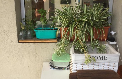 Tigre Apartment | Terrazas Reconquista 2A