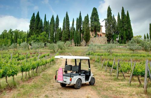 Greve in Chianti Bed & Breakfast | Terre di Baccio