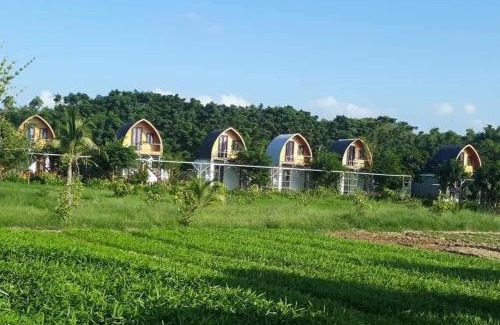 Dien Ban House | Thanh Chiêm Village - Khu Du Lịch Sinh Thái - Làng Nghề Thanh Chiêm
