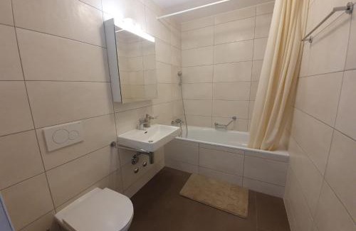 Sion Apartment | The Blackbird (Le Merle)